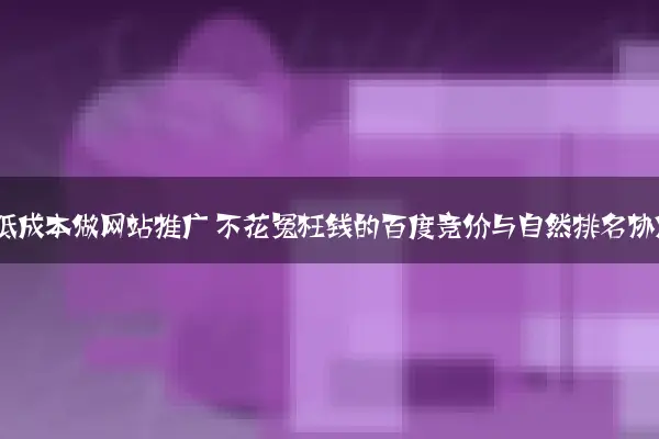 小企业如何低成本做网站推广 不花冤枉钱的百度竞价与自然排名协同方案