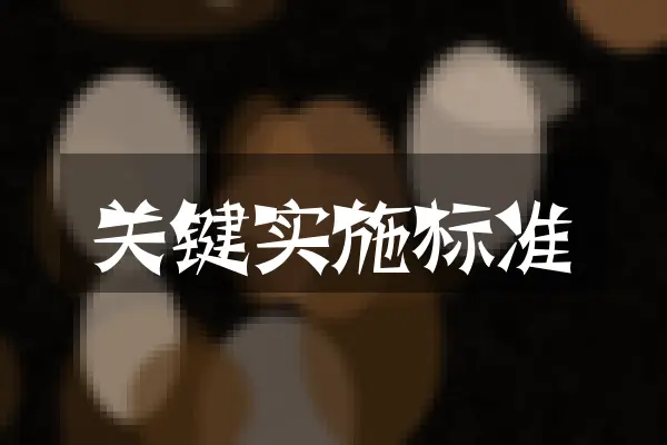关键实施标准