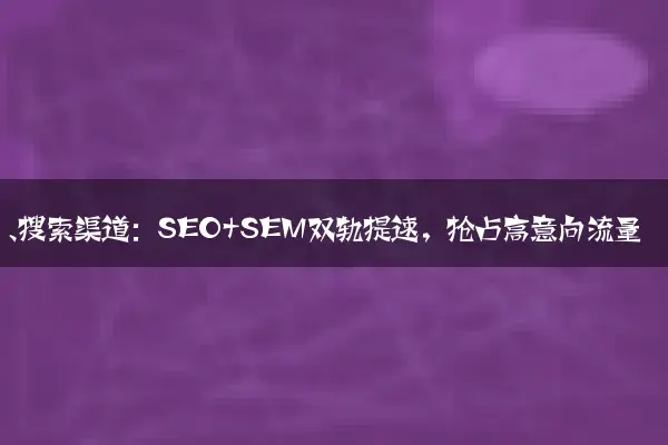 一、搜索渠道：SEO+SEM双轨提速，抢占高意向流量