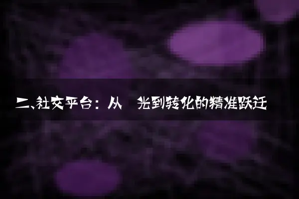 二、社交平台：从曝光到转化的精准跃迁