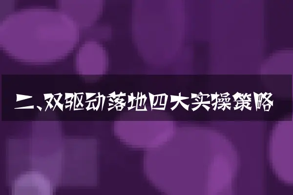 二、双驱动落地四大实操策略