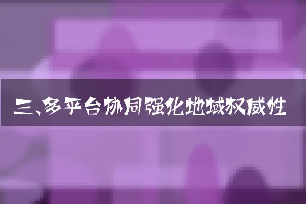 三、多平台协同强化地域权威性