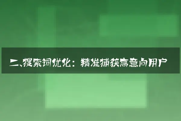 二、搜索词优化：精准捕获高意向用户