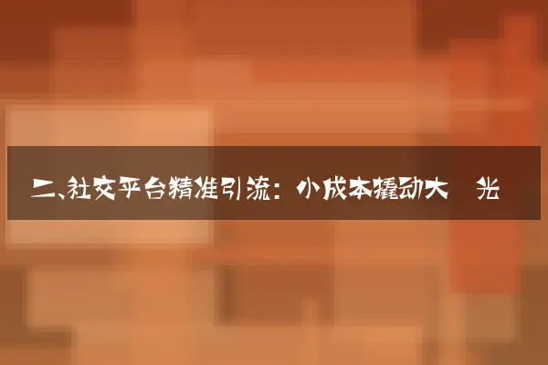 二、社交平台精准引流：小成本撬动大曝光