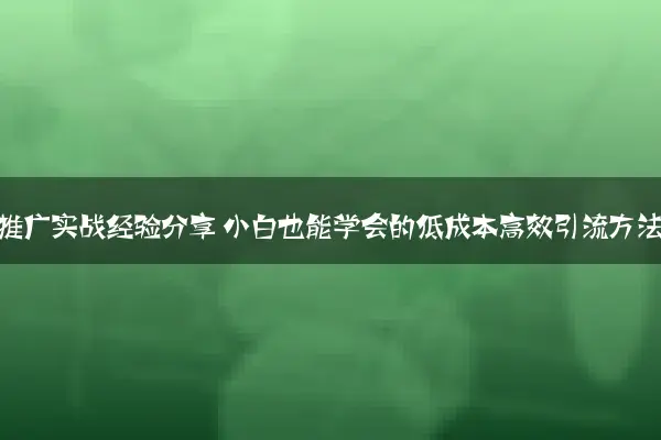 网站推广实战经验分享 小白也能学会的低成本高效引流方法