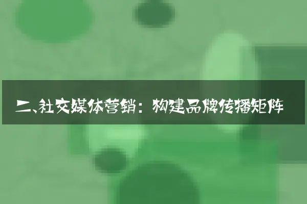 二、社交媒体营销：构建品牌传播矩阵