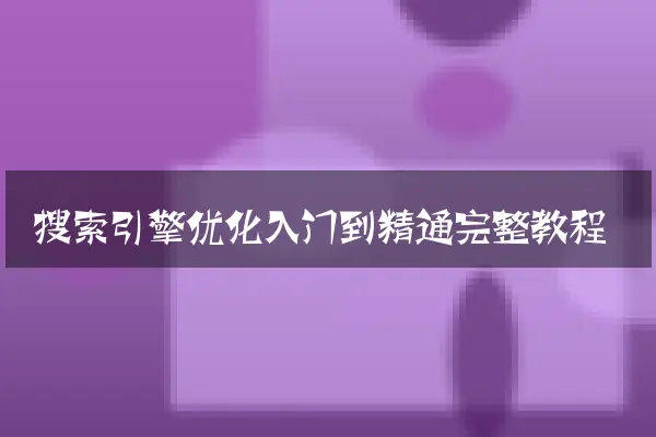 搜索引擎优化入门到精通完整教程