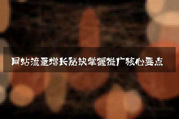 网站流量增长秘诀掌握推广核心要点
