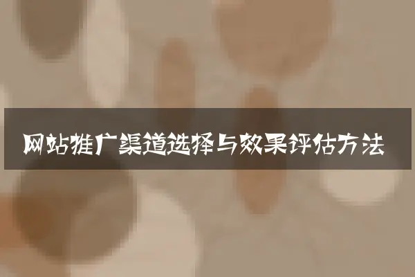 网站推广渠道选择与效果评估方法