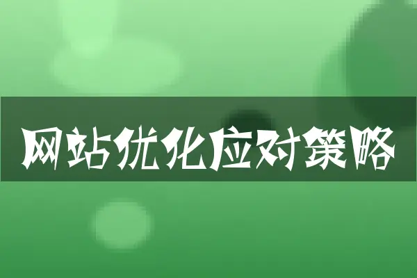 网站优化应对策略