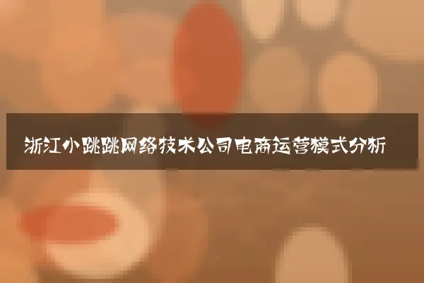 浙江小跳跳网络技术公司电商运营模式分析