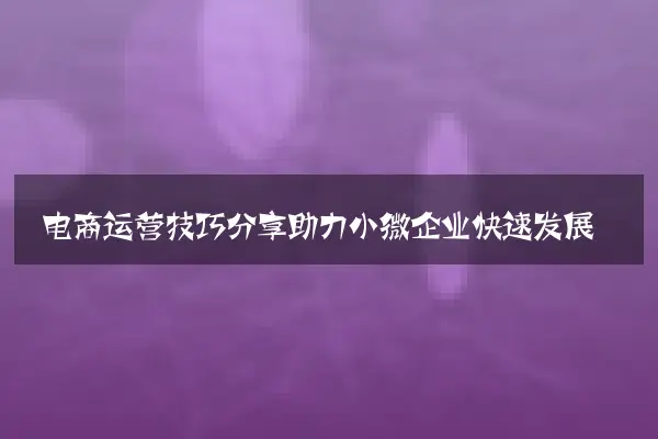 电商运营技巧分享助力小微企业快速发展