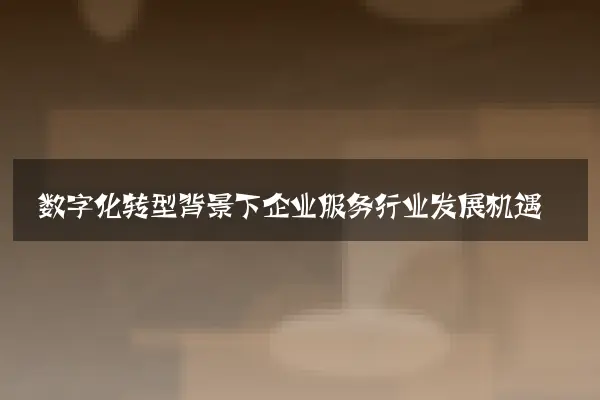 数字化转型背景下企业服务行业发展机遇
