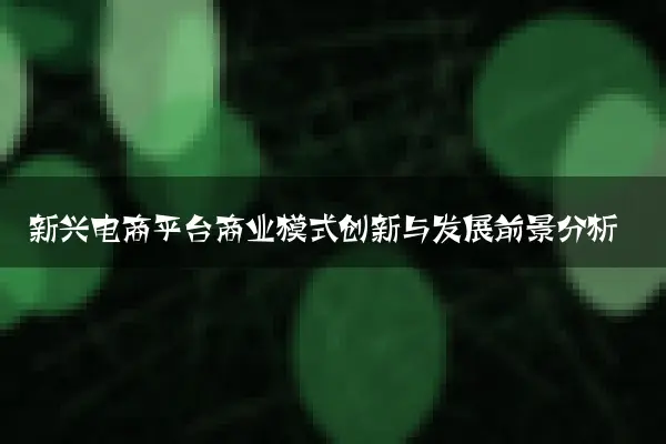 新兴电商平台商业模式创新与发展前景分析