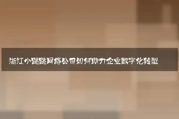 浙江小跳跳网络公司如何助力企业数字化转型