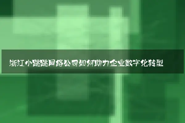 浙江小跳跳网络公司如何助力企业数字化转型